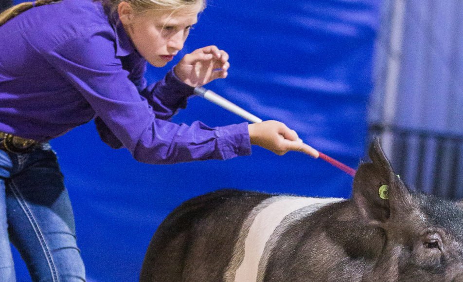 Jr. Livestock Auction