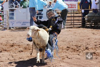 navajo-county-fair-rodeo-little-buckaroo-rodeo-mutton-bustin-2