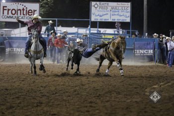 navajo-county-fair-steer-wrestling-2