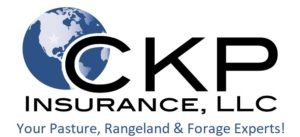 CKP Insurance logo (image)CKP Insurance logo (image)