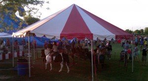 Freckle Farm Pony Rides and Petting Zoo